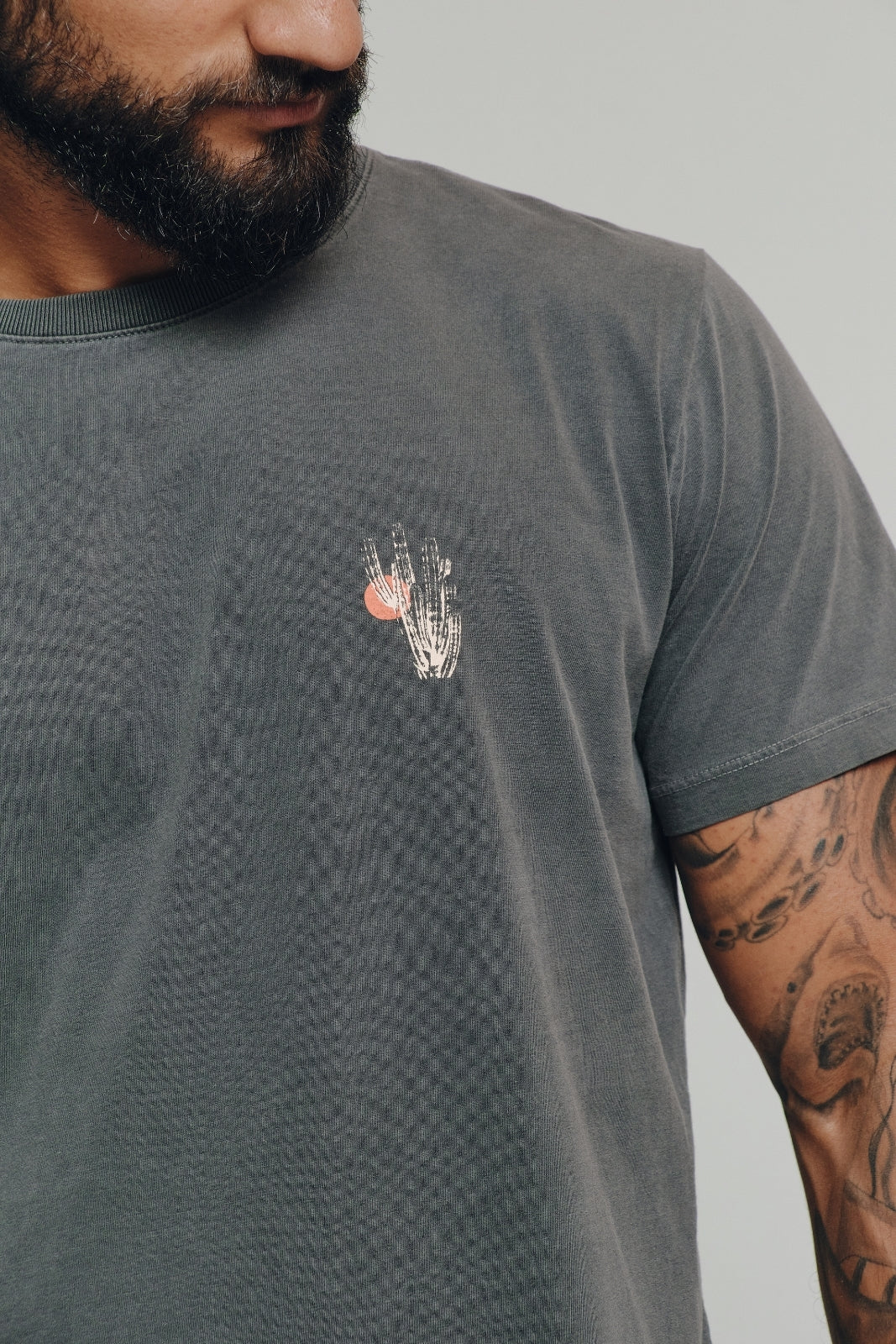 Camiseta Estonada Biomas  - Mandacaru - Cinza