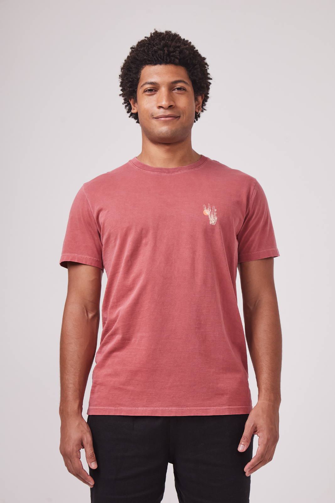 Camiseta Estonada Biomas  - Mandacaru - Bordo