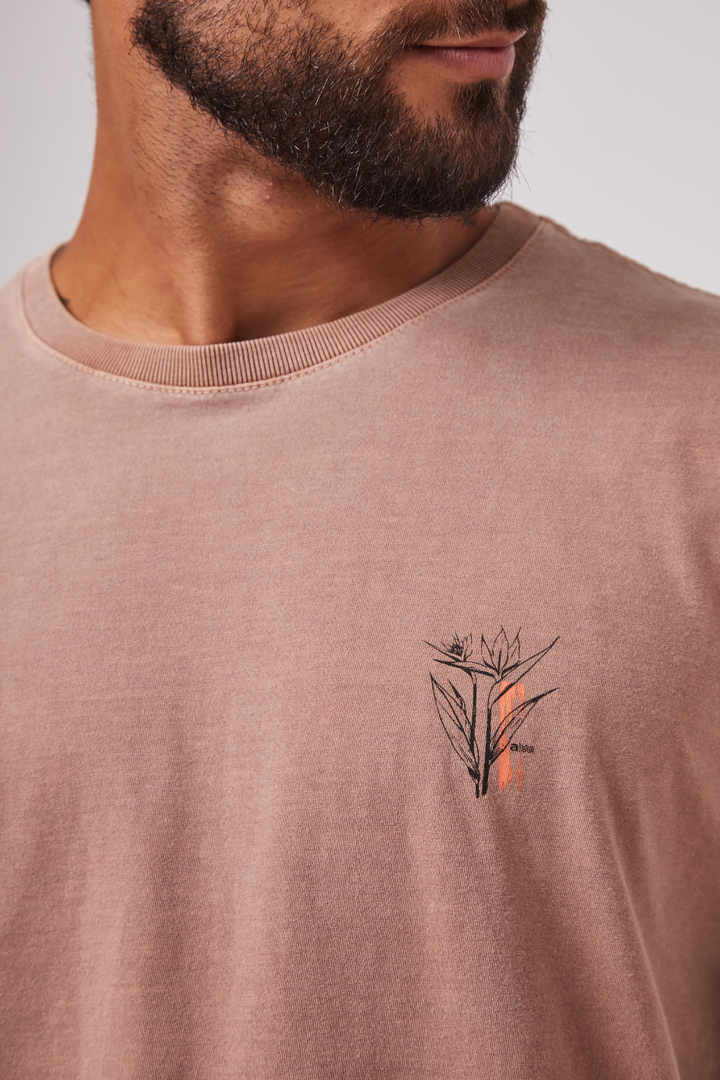 Camiseta Estonada Biomas - Marrom