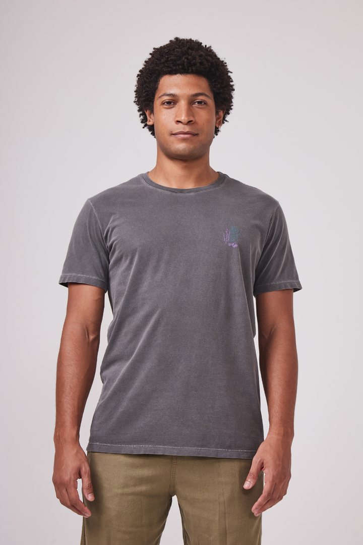 Camiseta Estonada Biomas - Açaí - Cinza