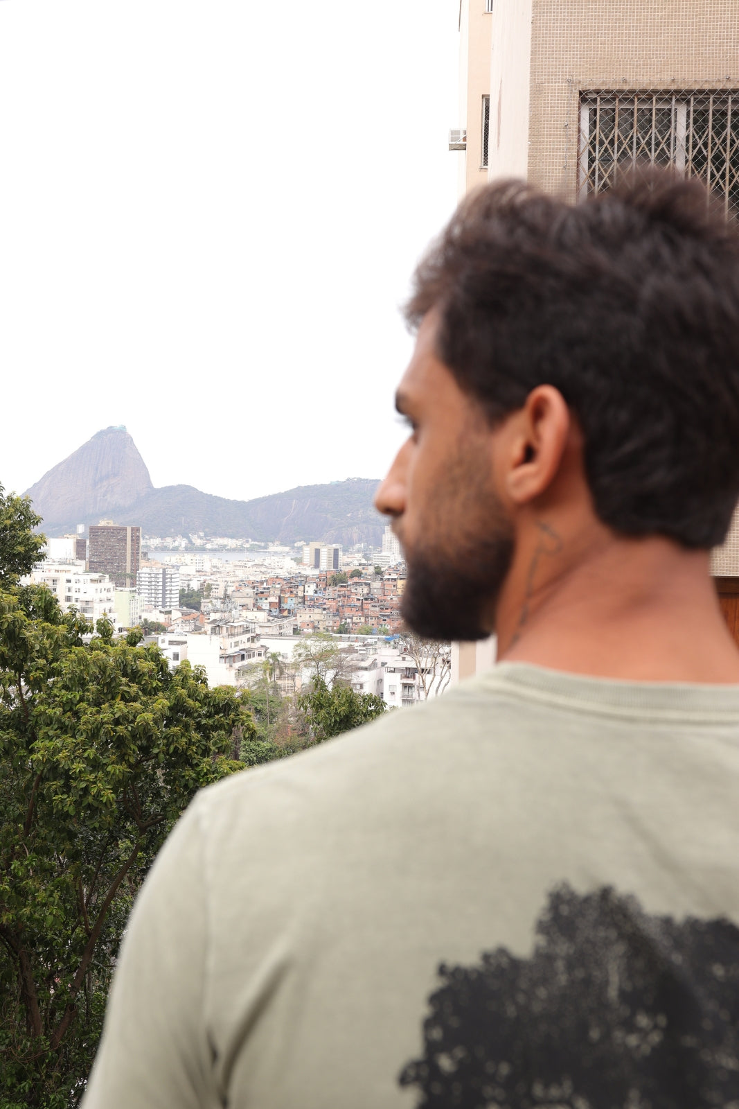 Camiseta Estonada Biomas - Pau-Brasil - Verde